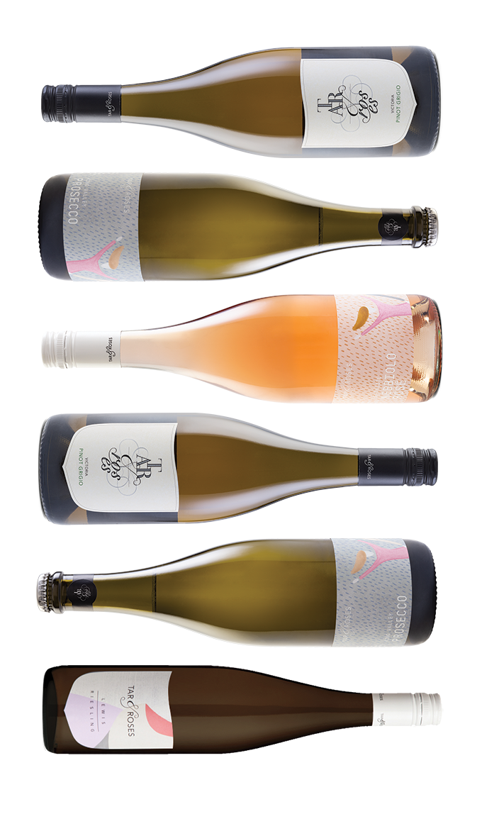 Wine Bottle