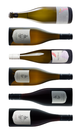 Tasting Pack